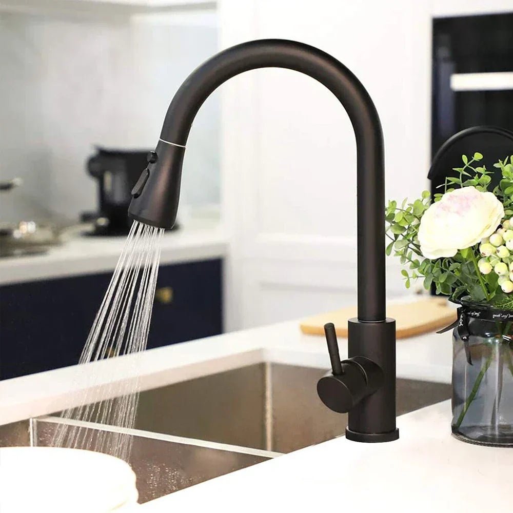 NovaFlow Modern Kitchen Faucet With High Arc And Pull Out Spout | Temsk