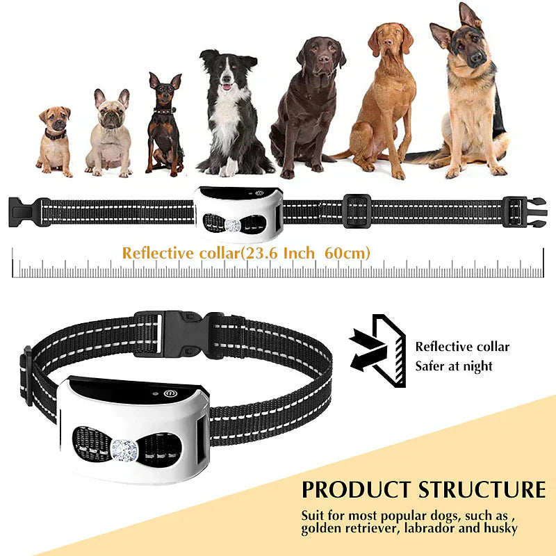 Wireless Dog Fence System With Training Collar For Outdoors | Temsk
