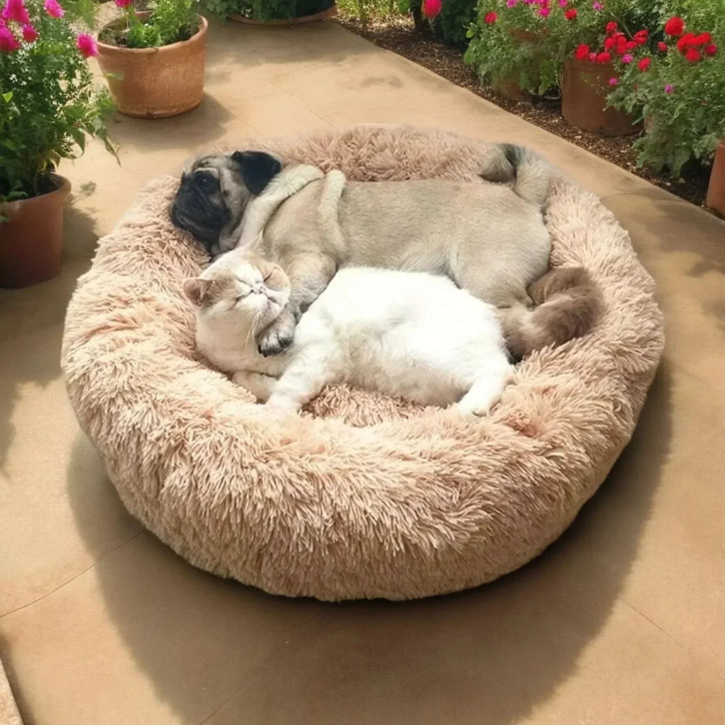 Super Soft Calming Dog Bed for Relaxing Nights and Comfort | Temsk