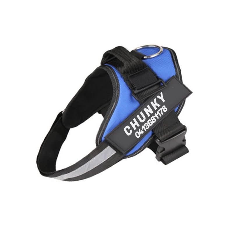 SafePaw Personalizable Dog Harness For Comfort And Safety | Temsk