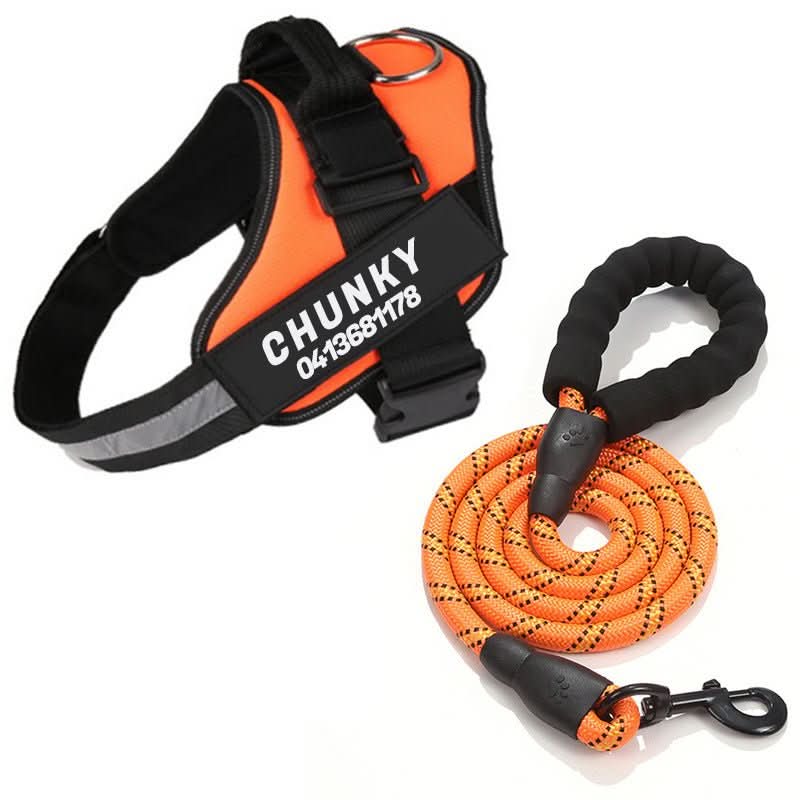 SafePaw Personalizable Dog Harness For Comfort And Safety | Temsk