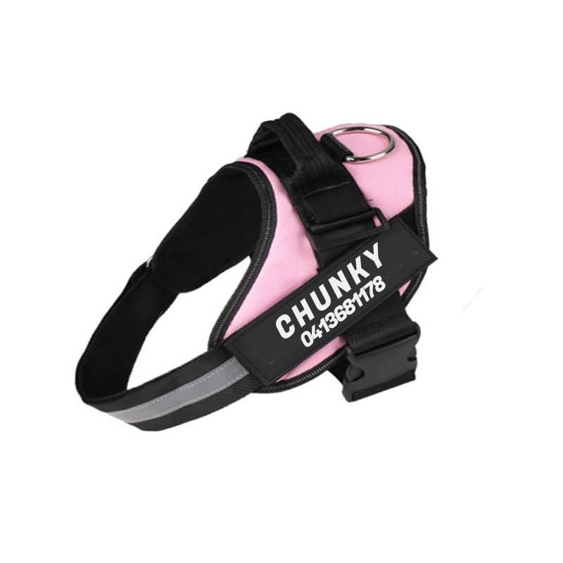 SafePaw Personalizable Dog Harness For Comfort And Safety | Temsk