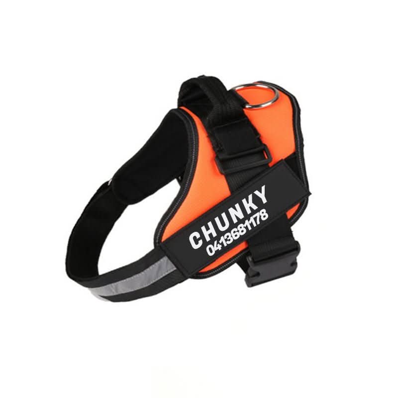 SafePaw Personalizable Dog Harness For Comfort And Safety | Temsk