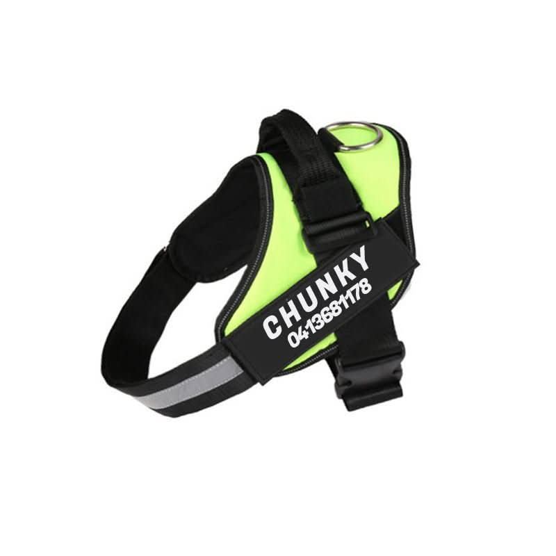 SafePaw Personalizable Dog Harness For Comfort And Safety | Temsk