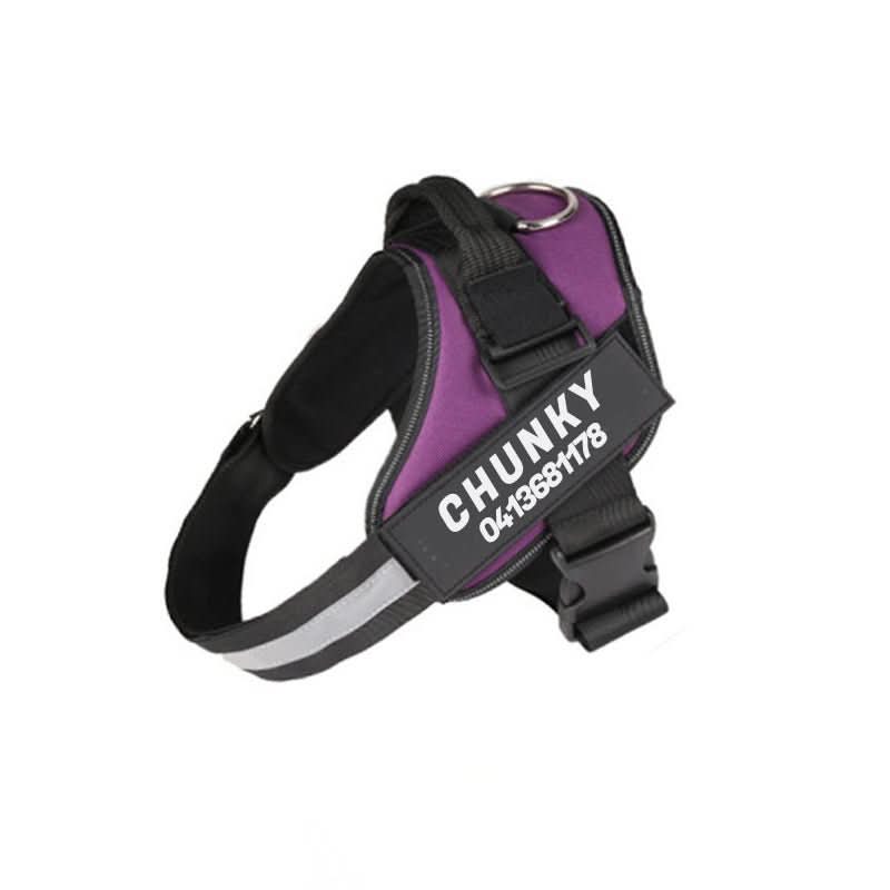 SafePaw Personalizable Dog Harness For Comfort And Safety | Temsk
