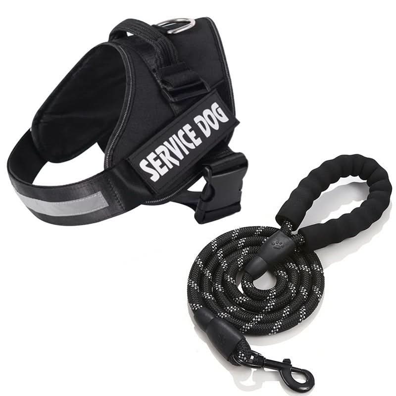 SafePaw Personalizable Dog Harness For Comfort And Safety | Temsk