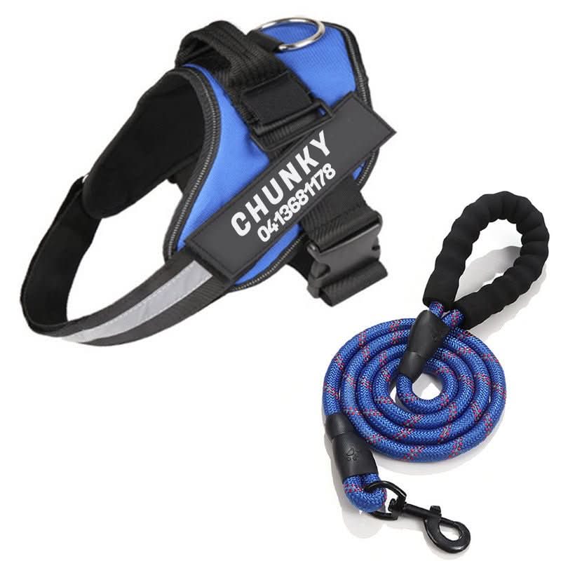 SafePaw Personalizable Dog Harness For Comfort And Safety | Temsk