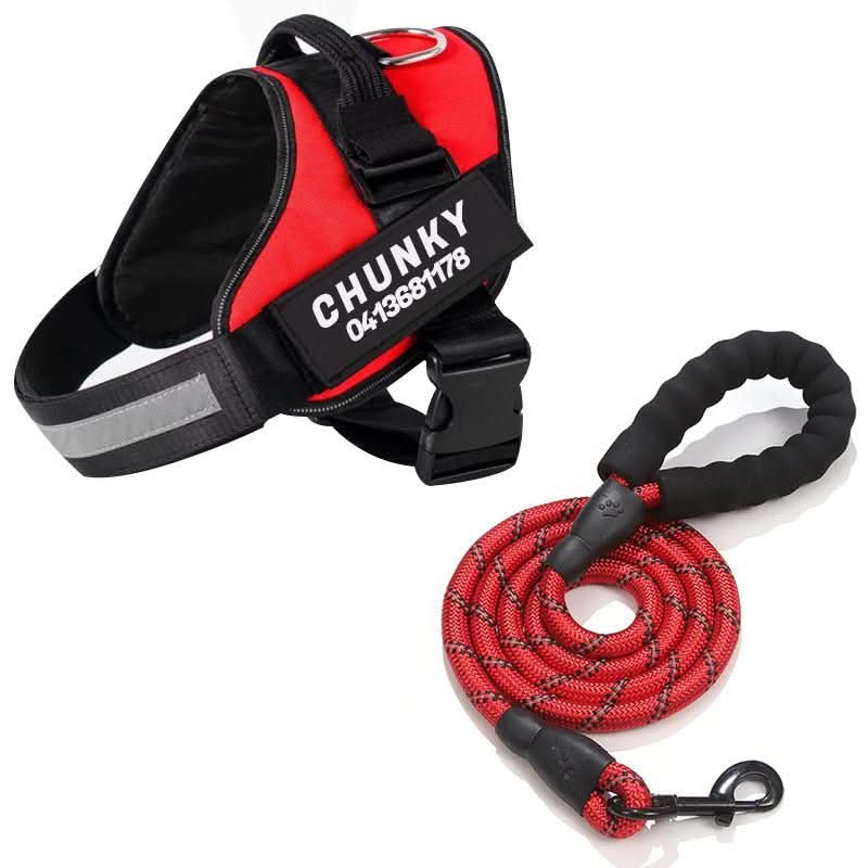 SafePaw Personalizable Dog Harness For Comfort And Safety | Temsk