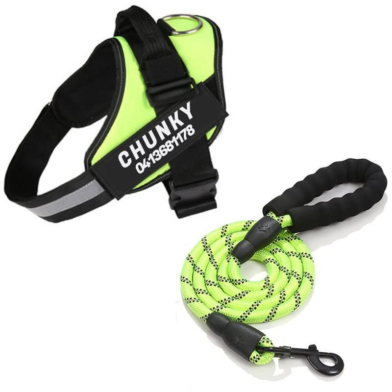 SafePaw Personalizable Dog Harness For Comfort And Safety | Temsk