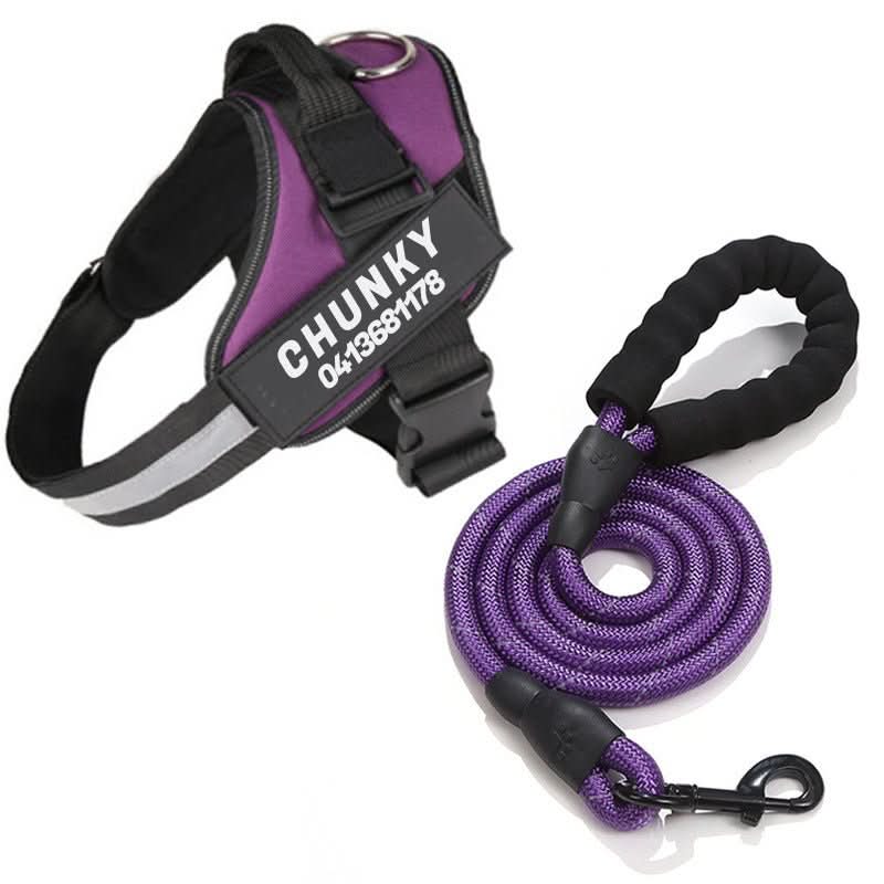 SafePaw Personalizable Dog Harness For Comfort And Safety | Temsk