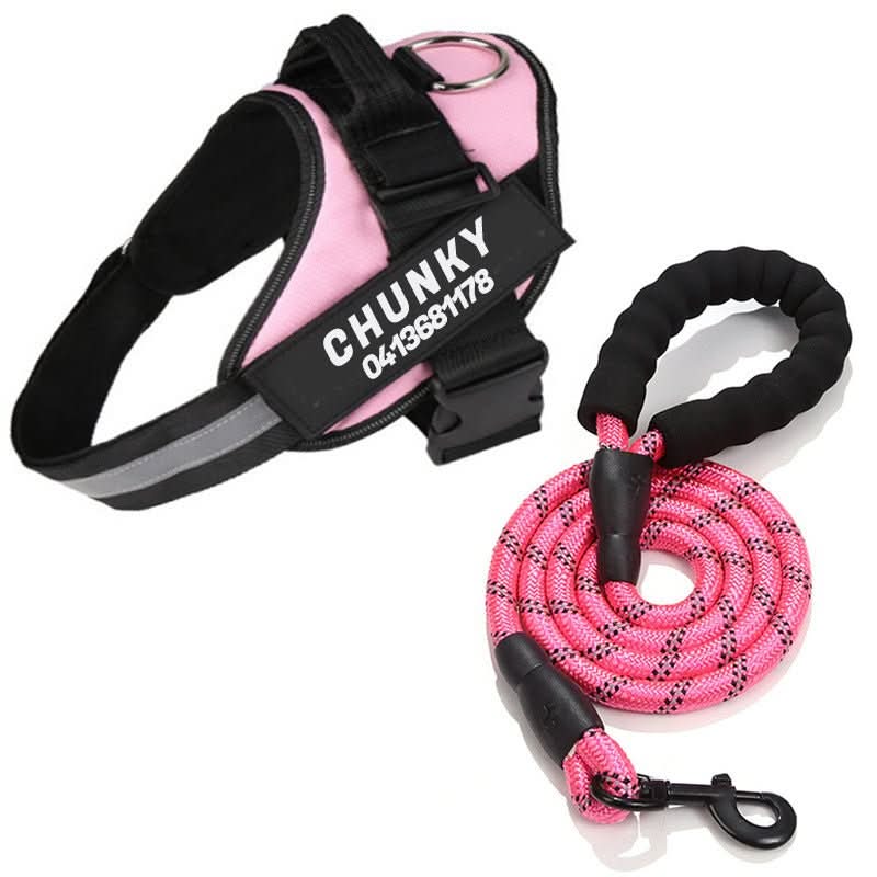 SafePaw Personalizable Dog Harness For Comfort And Safety | Temsk