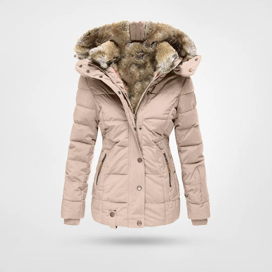 Nova Waterproof Jacket For Winter With Hood And Lining | Temsk