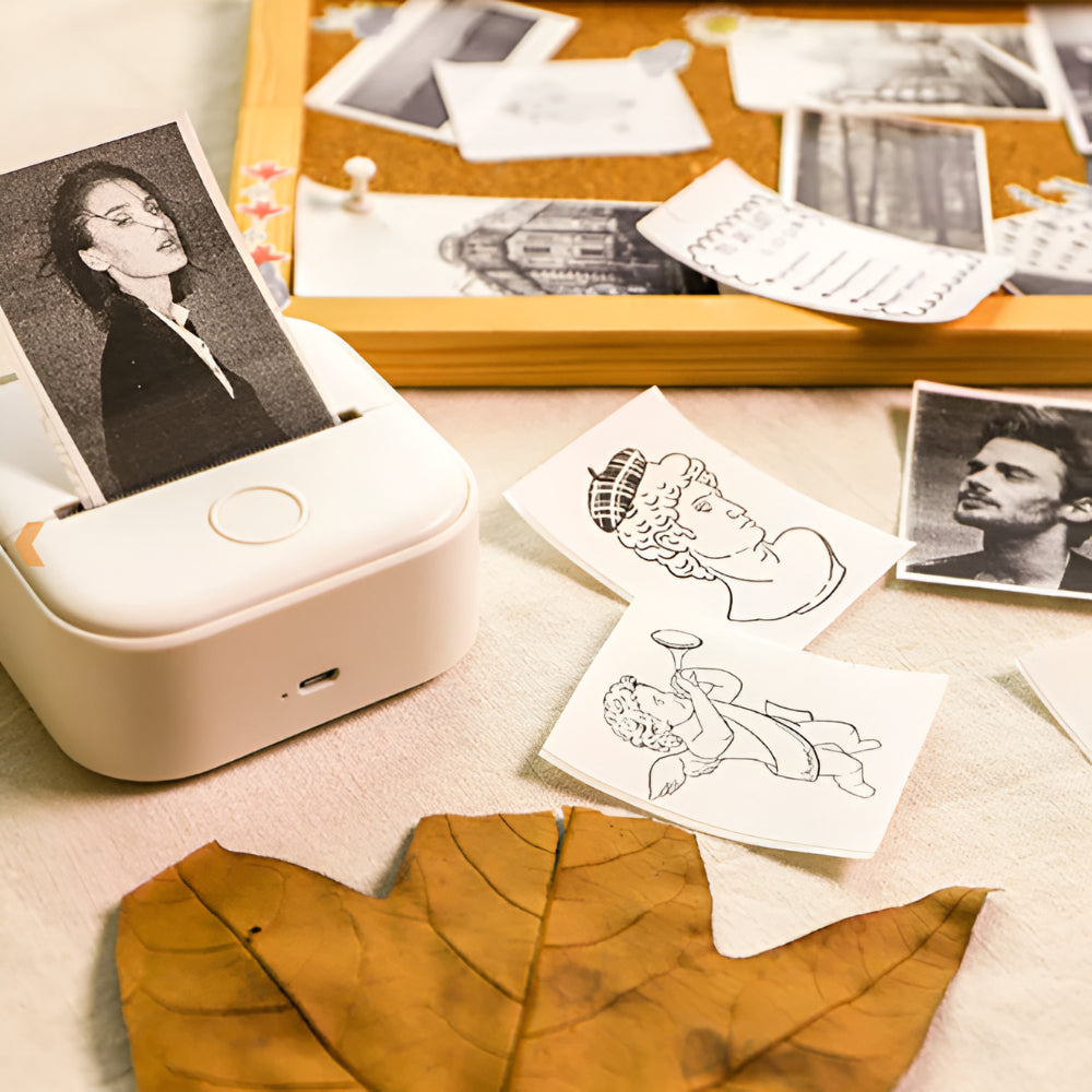Portable Bluetooth Thermal Printer For Photos And Labels | Temsk