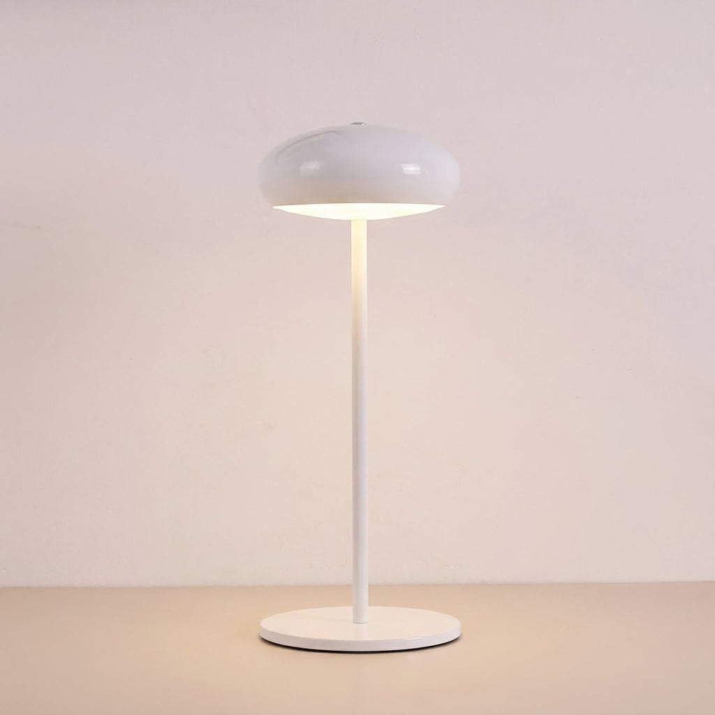Rechargeable LED Table Lamp With USB Charging And 15 Inches Tall | Temsk