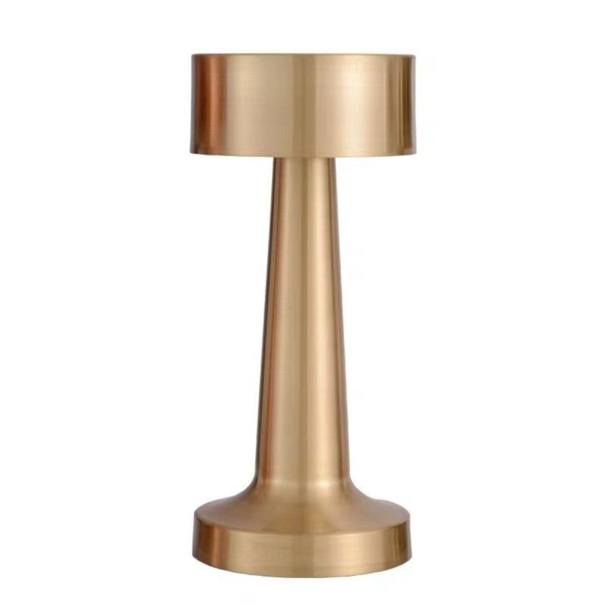 Rechargeable Table Lamp With LED Light And Touch Control, 15 Inches | Temsk