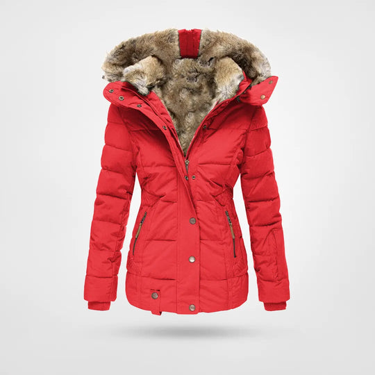 Nova Waterproof Jacket For Winter With Hood And Lining | Temsk