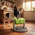 Rotating Slow Feeder for Dogs, Maze Bowl and Spinning Barrel | Temsk