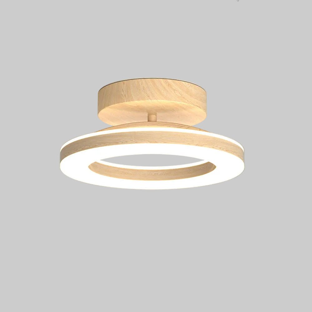 Acrylic Round LED Ceiling Light Fixture, Modern Design, 12-Inch | Temsk