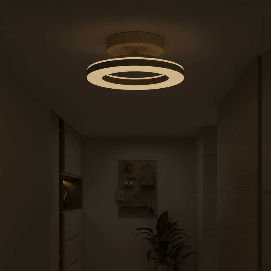 Acrylic Round LED Ceiling Light Fixture, Modern Design, 12-Inch | Temsk