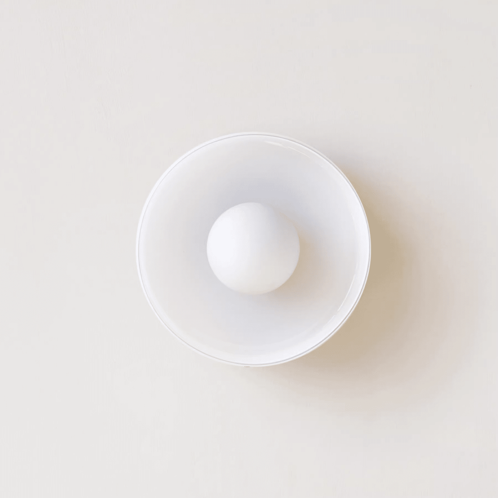 12-Inch Round Glass Shade Flush Mount Ceiling Light | Temsk