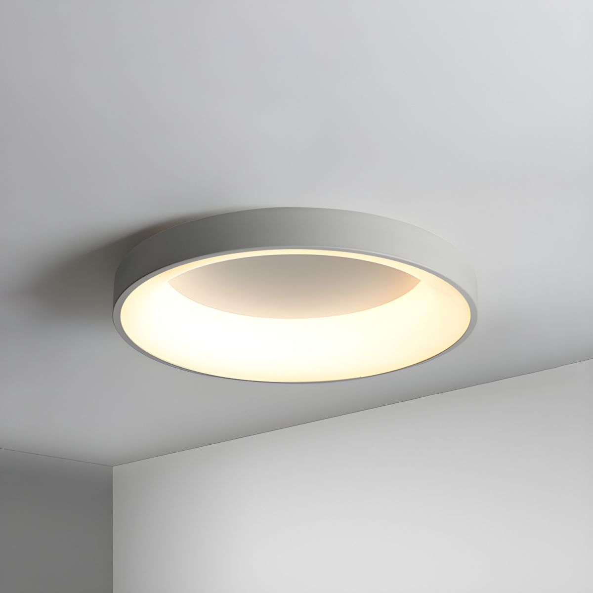 12-Inch Diameter Round Ceiling Light Flush Mount With Diffuser | Temsk