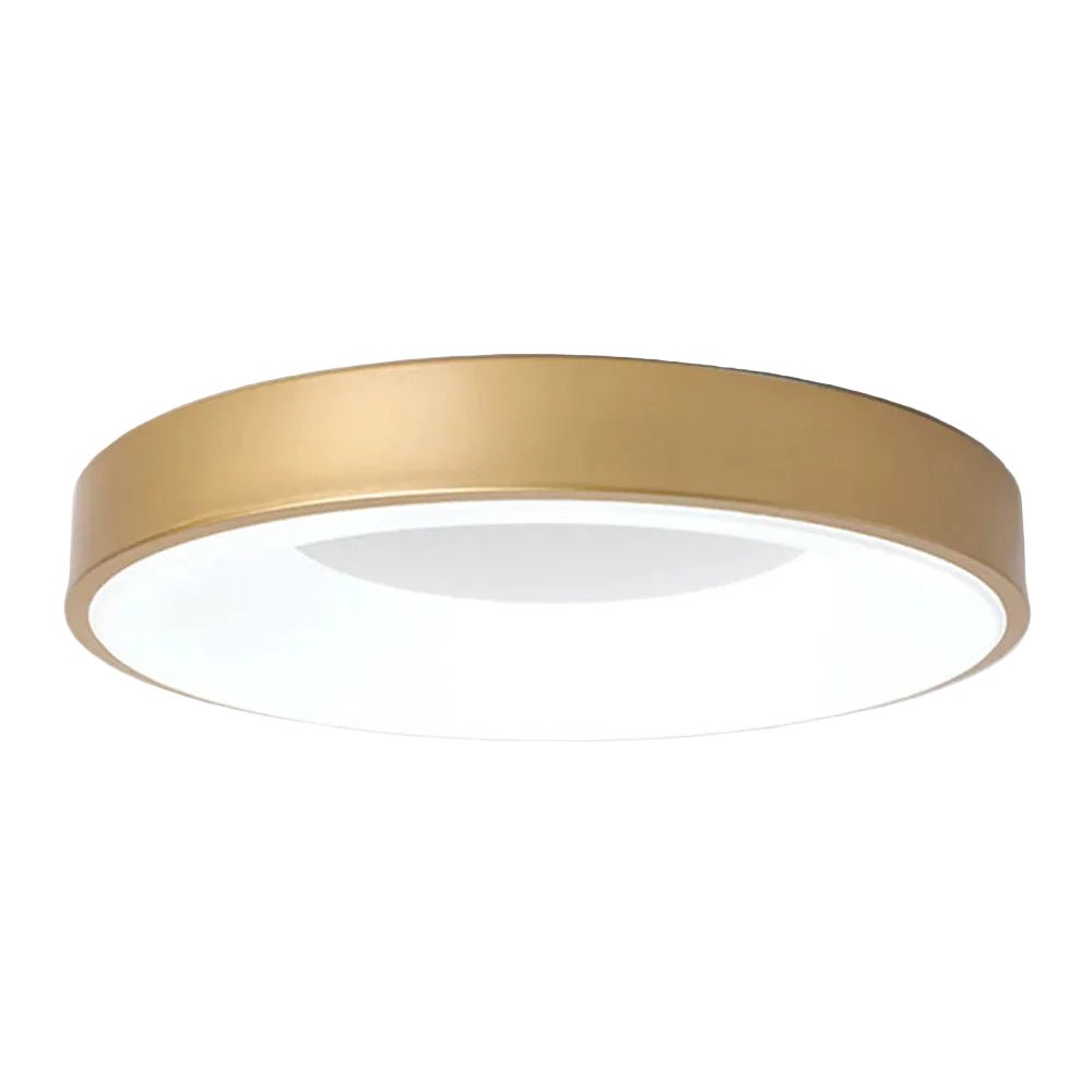 12-Inch Diameter Round Ceiling Light Flush Mount With Diffuser | Temsk