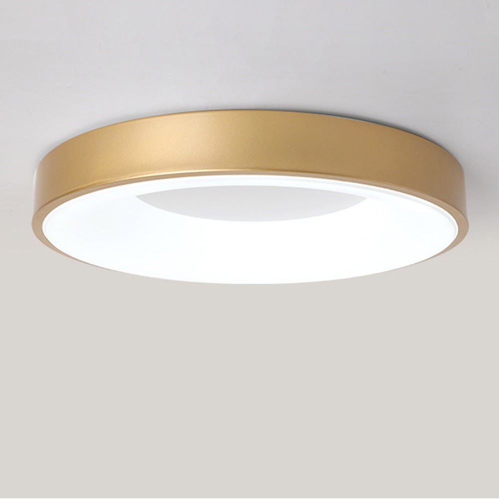12-Inch Diameter Round Ceiling Light Flush Mount With Diffuser | Temsk