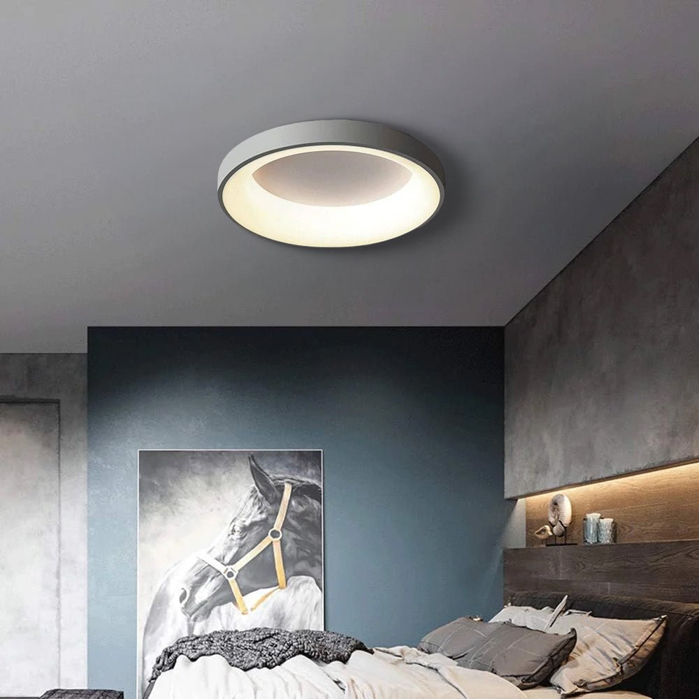 12-Inch Diameter Round Ceiling Light Flush Mount With Diffuser | Temsk