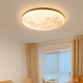 Flush Mount Round LED Ceiling Light, 12-Inch Diameter, White Finish | Temsk