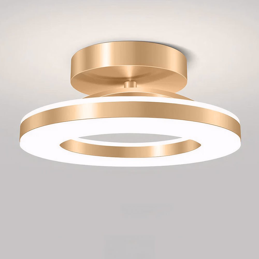 12-Inch Round LED Flush Mount Ceiling Light Fixture | Temsk