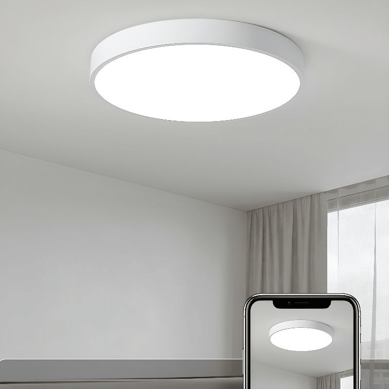 12-Inch Diameter Round Metal Flush Mount Ceiling Light Fixture | Temsk