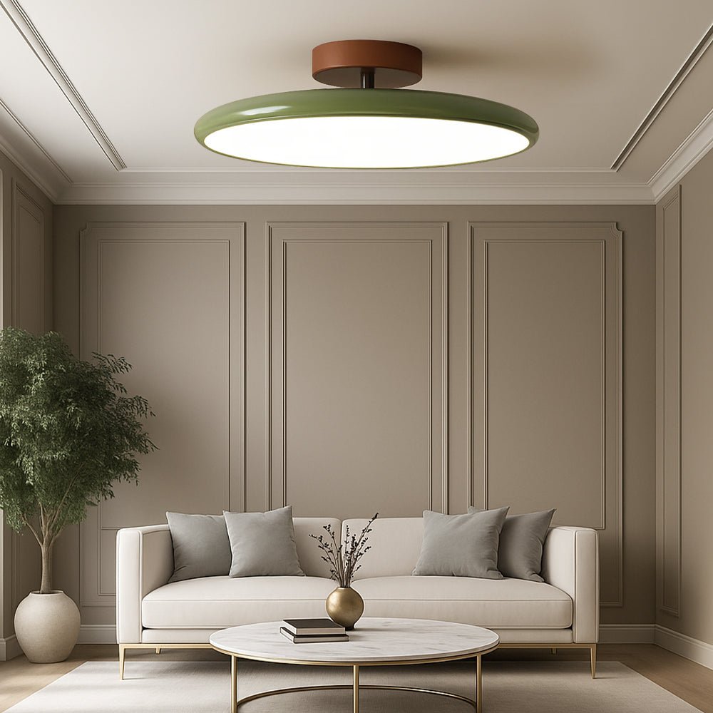LED Ceiling Light Fixture With Round Metal Frame, 12-Inch Diameter | Temsk
