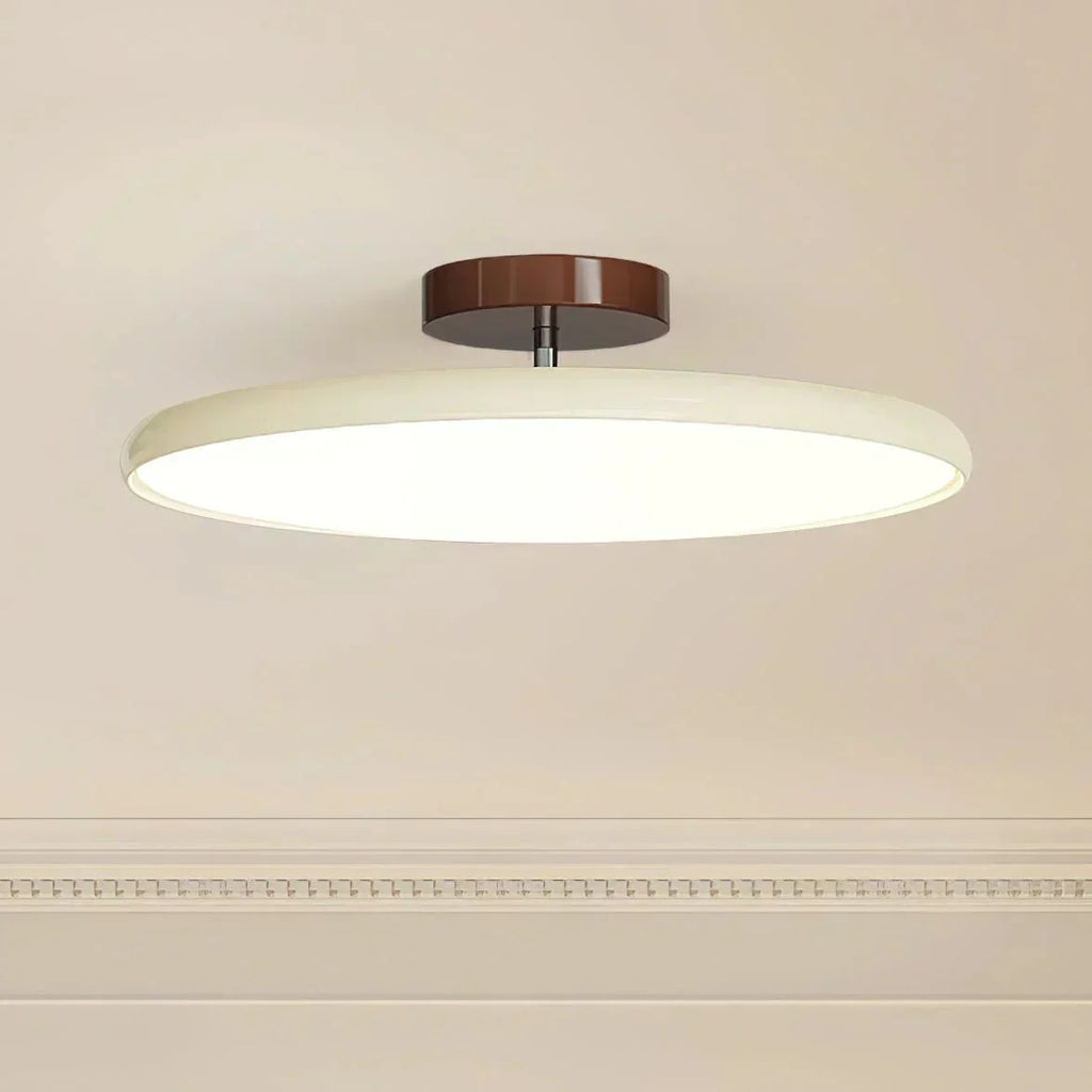 LED Ceiling Light Fixture With Round Metal Frame, 12-Inch Diameter | Temsk