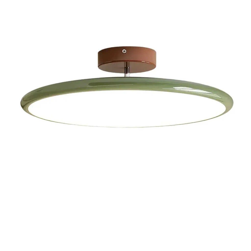 LED Ceiling Light Fixture With Round Metal Frame, 12-Inch Diameter | Temsk