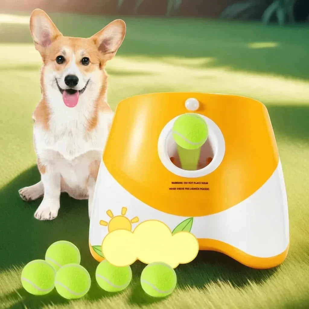 FetchNova Deluxe Automatic Ball Thrower For Dogs Pro | Temsk