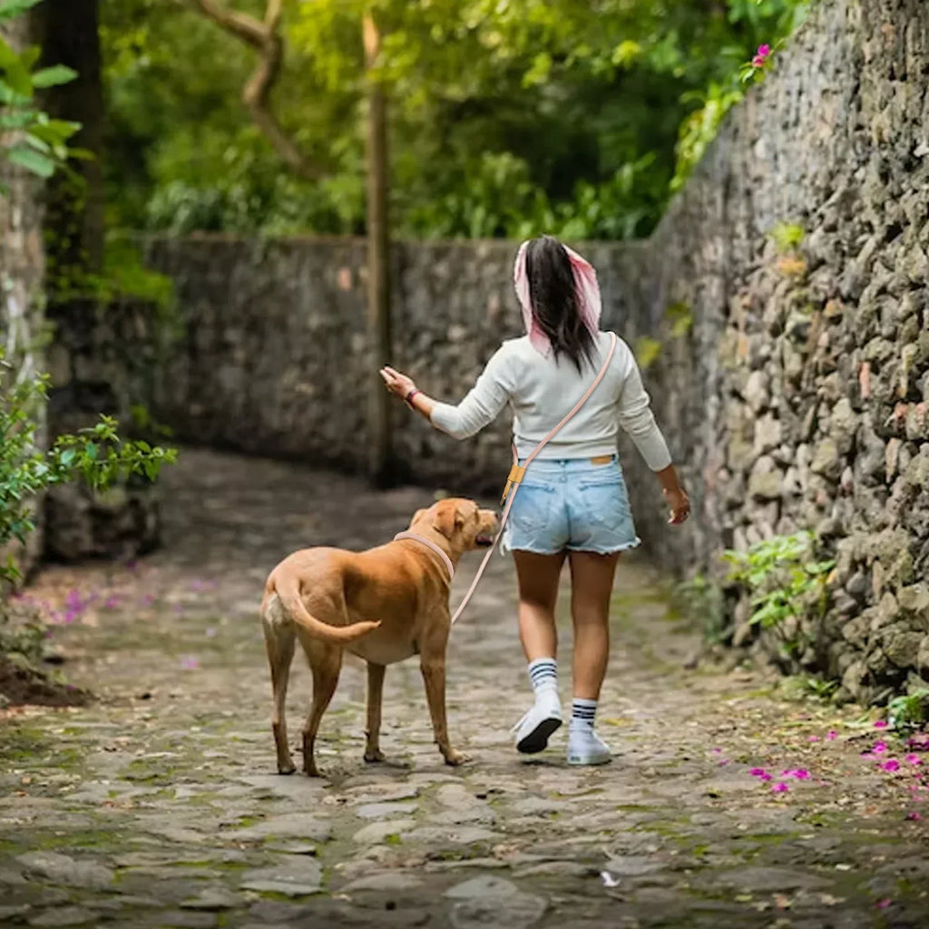 Hands-Free Adjustable Dog Leash For Running And Walking | Temsk