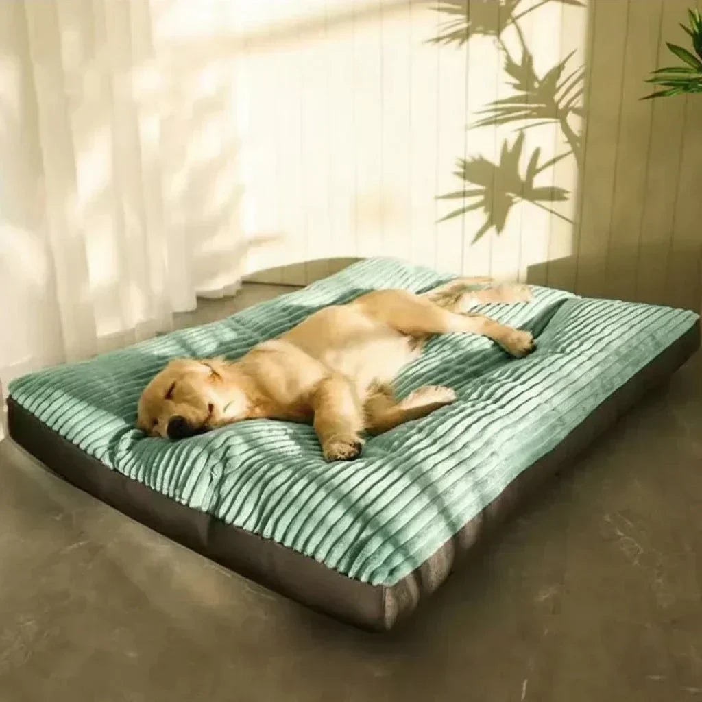 LunaNest Orthopedic Dog Bed Cosy And Supportive For Restful Nights | Temsk