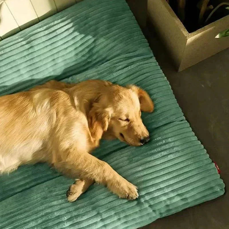 LunaNest Orthopedic Dog Bed Cosy And Supportive For Restful Nights | Temsk