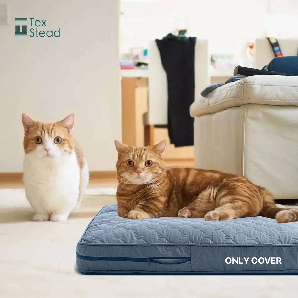 CozyTail Orthopedic Dog Bed Cover For Large Dogs | Temsk