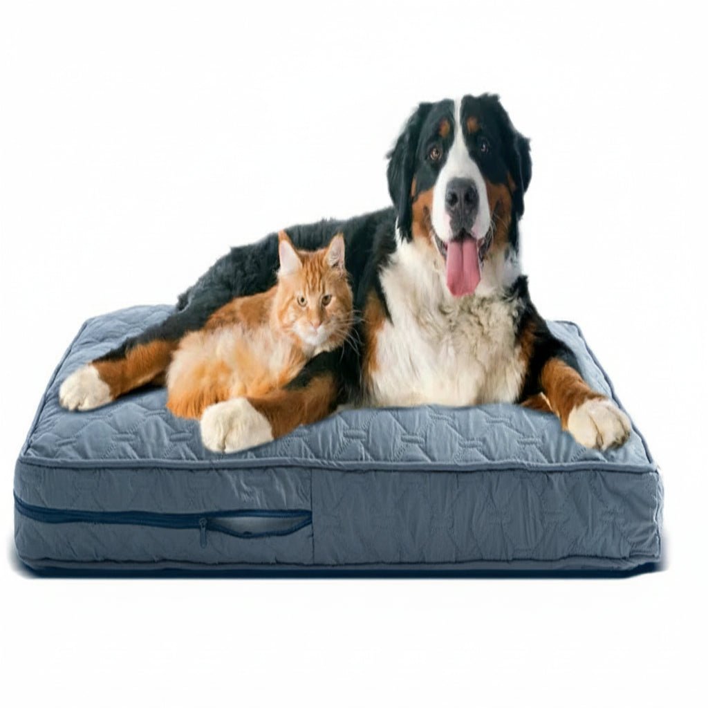 CozyTail Orthopedic Dog Bed Cover For Large Dogs | Temsk