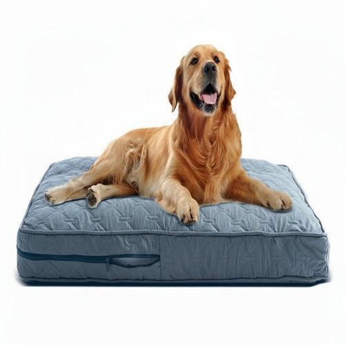 CozyTail Orthopedic Dog Bed Cover For Large Dogs By Temsk