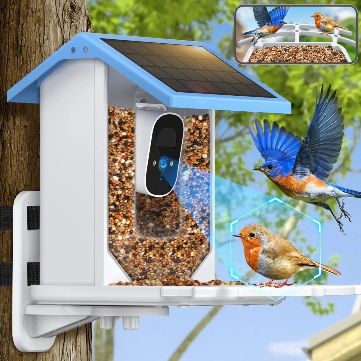 LumaFeeder Solar Bird Feeder With Intelligent 2.4K HD Camera And Night Vision | Temsk