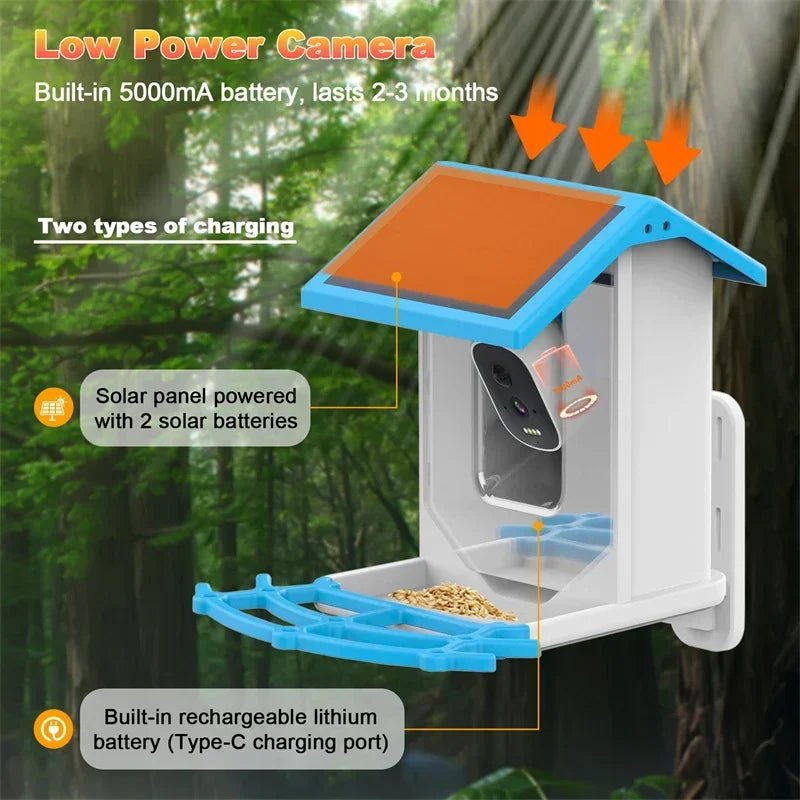 LumaFeeder Solar Bird Feeder With Intelligent 2.4K HD Camera And Night Vision | Temsk