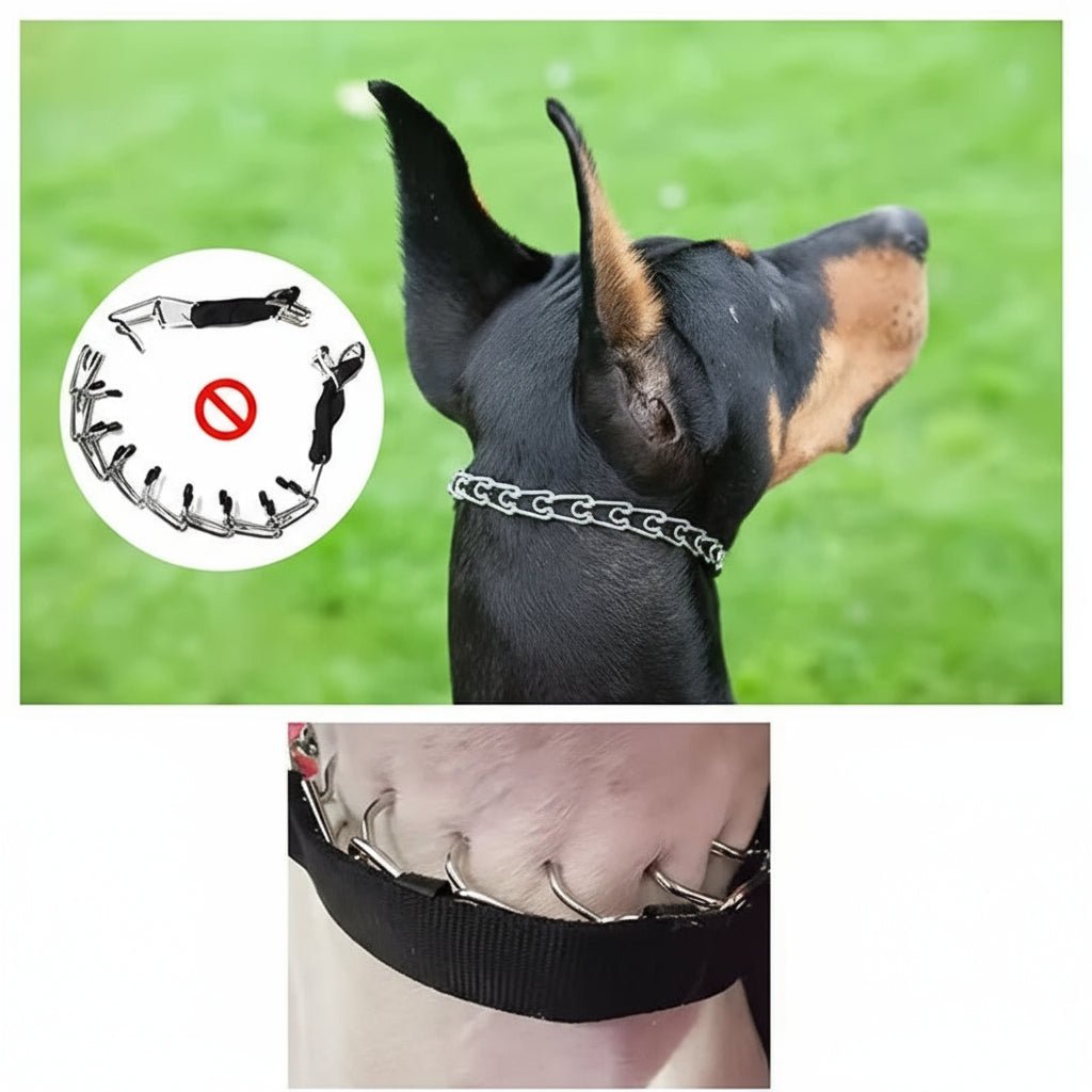 ShieldPaw Dog Training Prong Collar With Steel Core And Soft Nylon Cover | Temsk