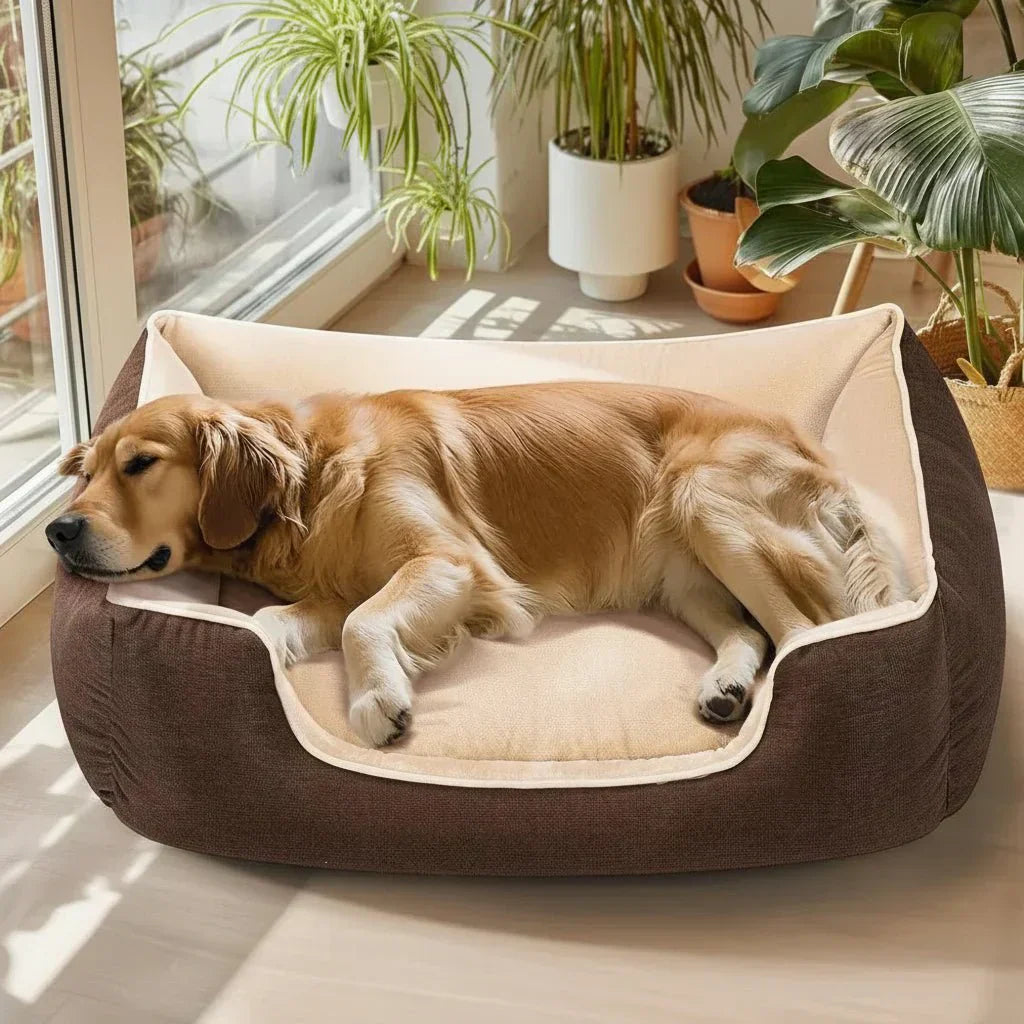 CosyPaws Waterproof Memory Foam Dog Bed For All Breeds | Temsk