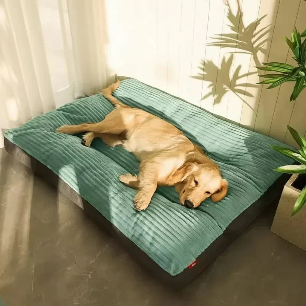 LunaNest Orthopedic Dog Bed Cosy And Supportive For Restful Nights | Temsk