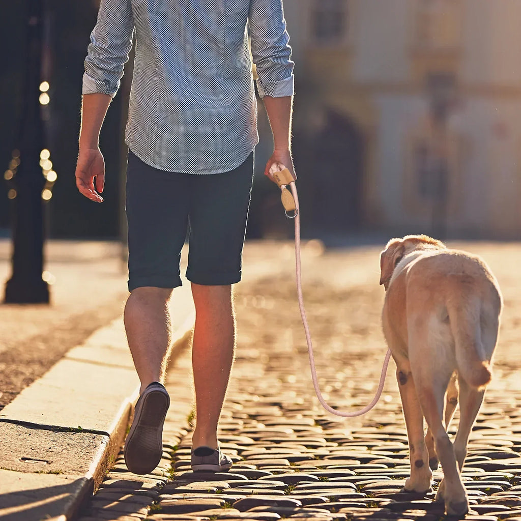 Hands-Free Adjustable Dog Leash For Running And Walking | Temsk