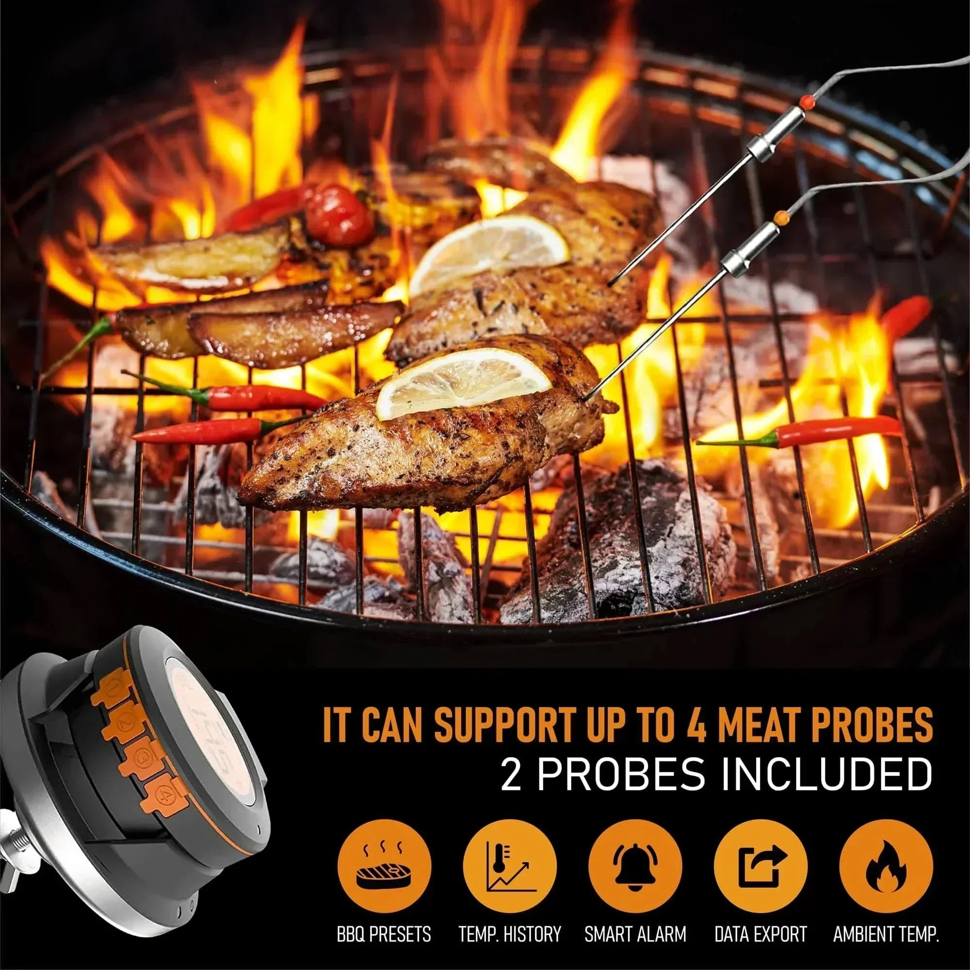 AeroTemp Pro Wireless Meat Thermometer for Barbecue and Grilling | Temsk