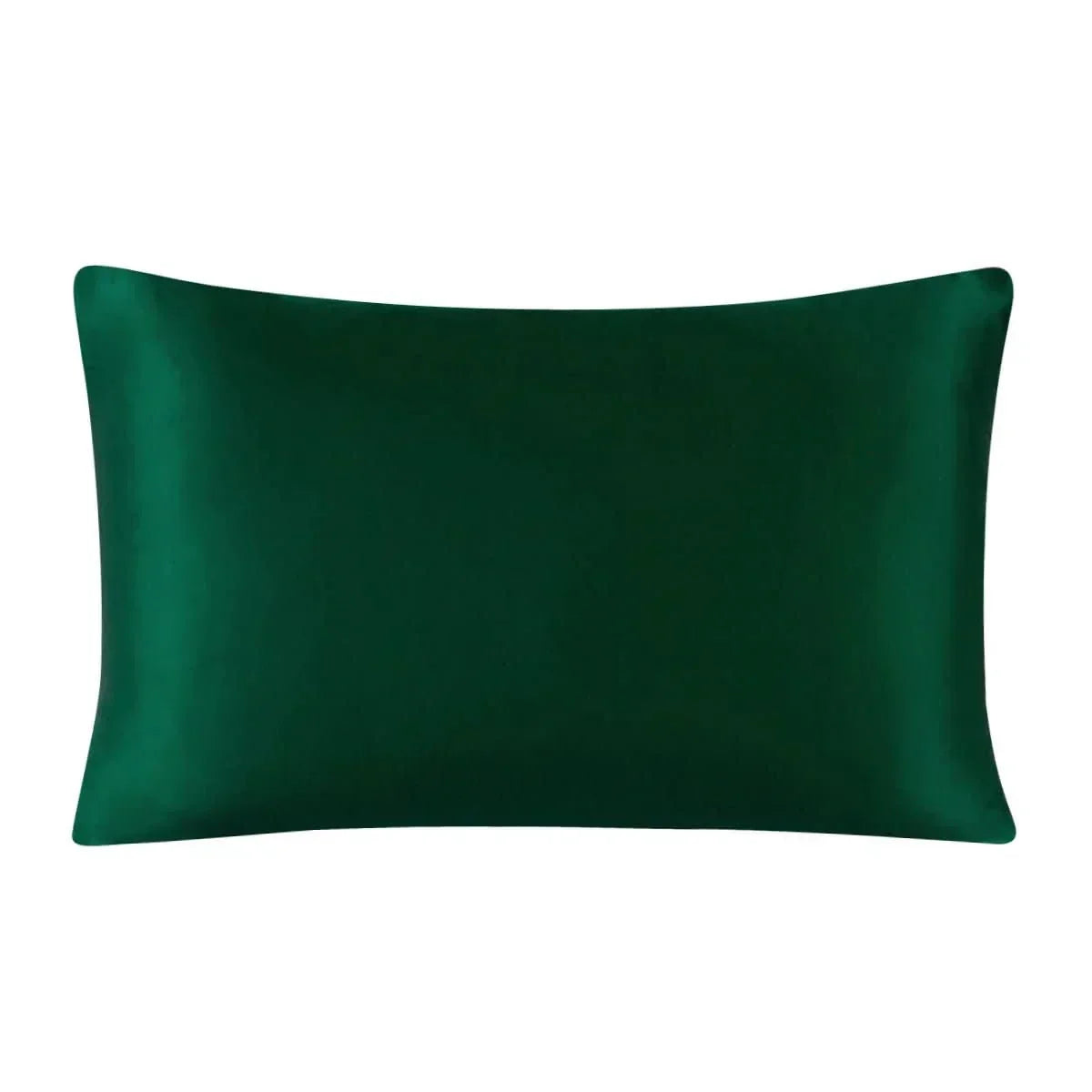 AstraSilk Pillow Case - Luxurious Silk Pillow Cover For Restful Sleep | Temsk