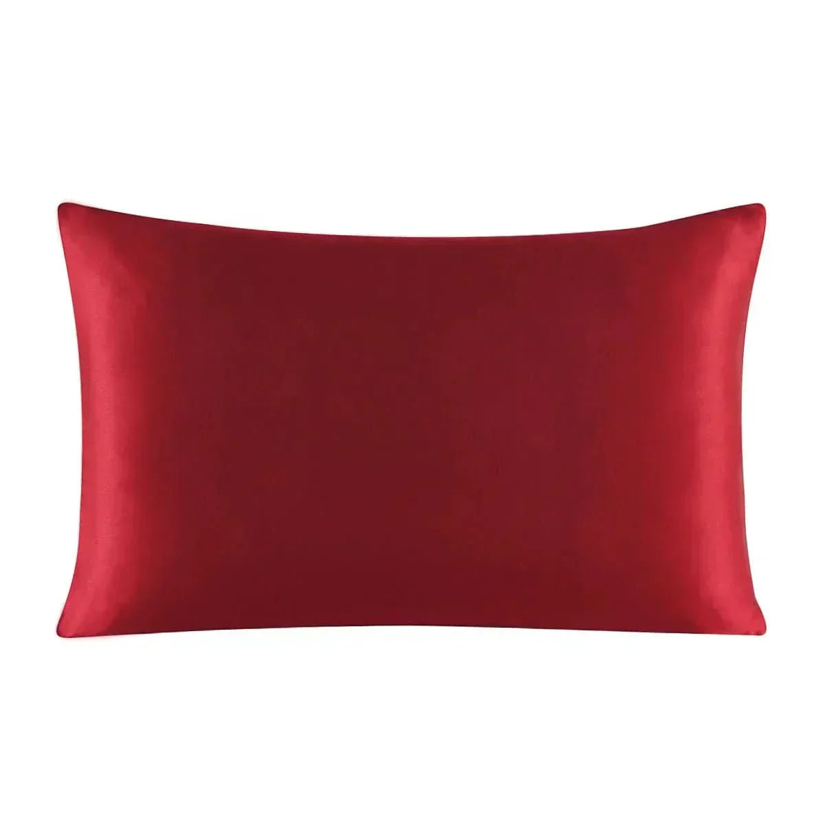 AstraSilk Pillow Case - Luxurious Silk Pillow Cover For Restful Sleep | Temsk